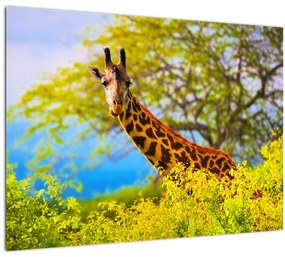 Tablou pe sticlă - Girafa în Africa (70x50 cm)