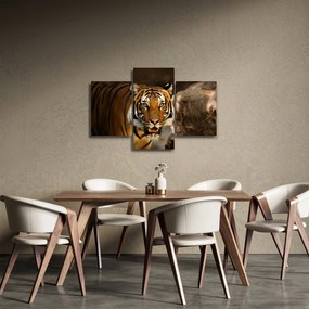Tablou cu tigrul (90x60 cm)