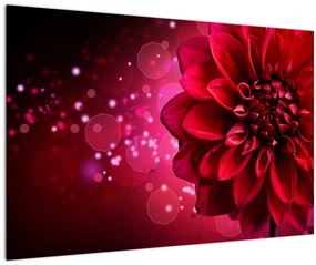 Tablou cu floare roșie (90x60 cm)