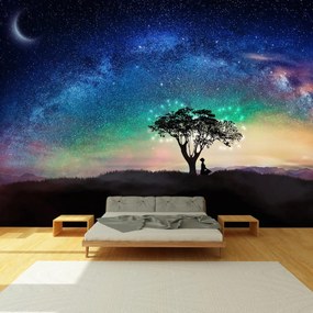 Fototapet - Aurora și copaci (147x102 cm)