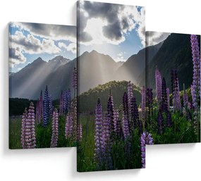 Tablou - scenariu cu flori de Lupin (90x60 cm)