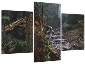 Tablou - În pădure (90x60 cm)