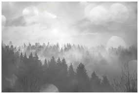 Fototapet ceață deasupra pădurii în alb-negru