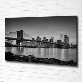 Tablou pe pânză canvas New york