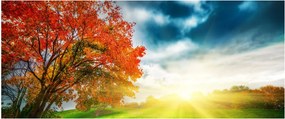 Tablou peisaj cu scufundat în razele solare (120x50 cm)