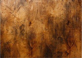 Tablou - Lemn în detaliu (70x50 cm)