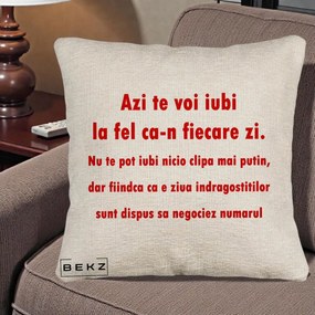 Cadou pentru Iubita - Perna Personalizata Azi Te Voi Iubi, 40x40 cm, Bej Canapea, Husa Detasabila, Perna Inclusa, BEKZ®