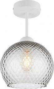 BRILAGI - Plafonieră LED aplicată R GLASS 1xE27/60W/230V Ø 25 cm alb/gri fumuriu