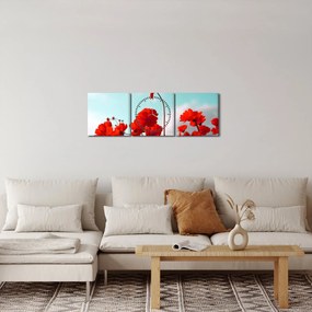 Tablou - Câmp cu flori roșu deschis (cu ceas) (90x30 cm)