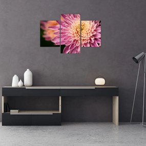 Tablou detailat cu flori (90x60 cm)