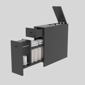 Dulap de baie CALENCIA 55x60 cm antracit