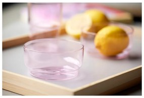 Boluri roz 2 buc. din sticlă 500 ml Torino – Lyngby Glas