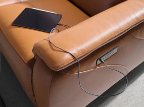 Canapea 2 locuri eleganta, design LUX cu functia relax Cowhide brown leather