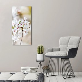 Imprimare tablou canvas Flori de cireș