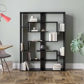 Biblioteca Esteban Black