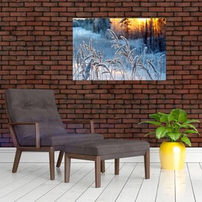 Tablou - Pajiște de iarnă (90x60 cm)