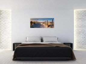 Tablou - Drum spre plaja din Marea Nordului, Țările de Jos (120x50 cm)
