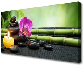 Tablou pe panza canvas Bamboo flori Stones Lumânare Arta Verde Roz Negru Galben