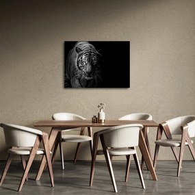 Tablou - Tigru sălbatic (70x50 cm)