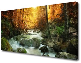 Tablou pe panza canvas Cascada Pietrele Natural Pădurea Brun Galben Gri Alb