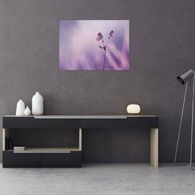 Tablou - Fluturi mov (70x50 cm)