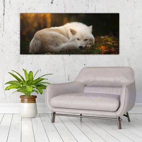 Tablou - Lupul care se odihnește (120x50 cm)