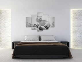 Tablou - Vulpe gri (150x105 cm)