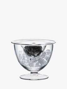 Set pentru caviar, Serve,  Ø 14 cm, transparent - LSA International