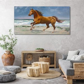 Tablou canvas plajă coasta cal mare valuri