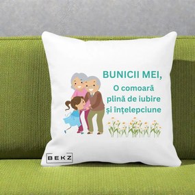 Cadou pentru Bunici - Perna Personalizata Bunicii Mei Comoara Iubire Intelepciune Nepoata, 40x40 cm, Alba Mata, Husa Detasabila, Perna Inclusa, BEKZ®