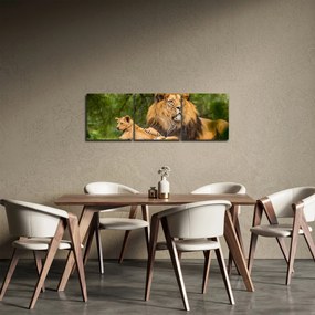 Tablou cu lei (cu ceas) (90x30 cm)