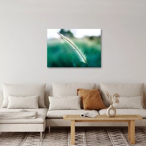 Tablou cu fir de iarbă (70x50 cm)