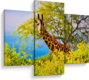 Tablou - Girafa în Africa (90x60 cm)