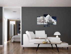 Tablou - Albă ca Zăpada Albă ca Zăpada Copaci (90x60 cm)