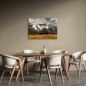 Tablou cu mutele Sefton, Noua Zeealnda (70x50 cm)