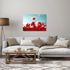 Tablou pe sticlă - Câmp cu flori roșu deschis (70x50 cm)