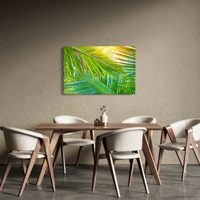 Tablou - Frunze de palmier (90x60 cm)