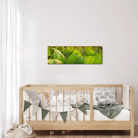 Tablou - Câmp (cu ceas) (90x30 cm)