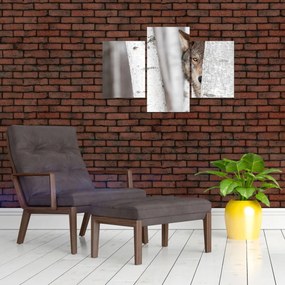 Tablou - Lup (90x60 cm)