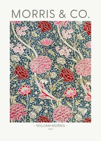 Ilustrație Cray, William Morris