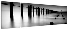 Tablou modern (170x50cm)