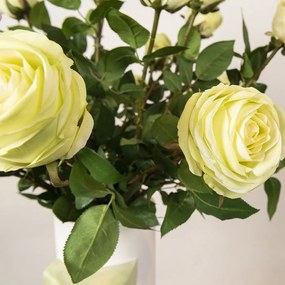 Aranjament floral mare CYLINDER DAVID EYE WITH ROSES