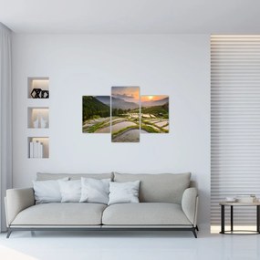 Tablou - Terase de orez (90x60 cm)