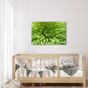 Tablou - Imagine macro a unei plante (90x60 cm)