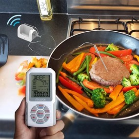 Termometru digital - termosondă HiNOVA - gri