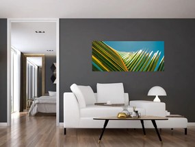 Tablou - Frunze de palmier (120x50 cm)