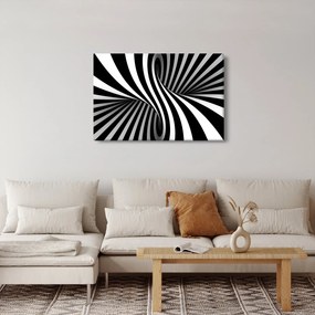 Tablou abstract cu dungi de zebră (90x60 cm)