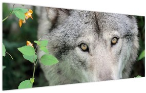 Tablou - Portret de lup (120x50 cm)