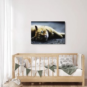 Tablou cu pisica (90x60 cm)