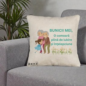 Cadou pentru Bunici - Perna Personalizata Bunicii Mei Comoara Iubire Intelepciune Nepoata, 40x40 cm, Bej Canapea, Husa Detasabila, Perna Inclusa, BEKZ®